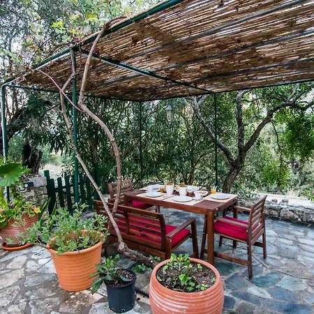Country house Almond Trees *